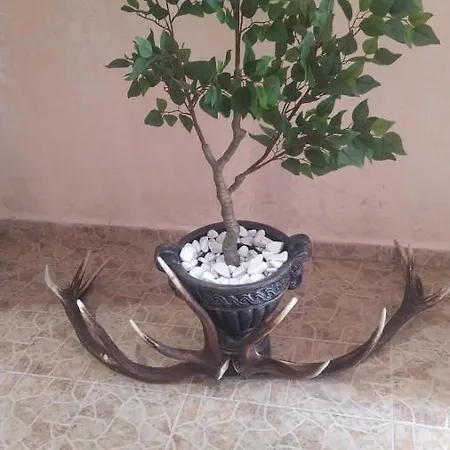 Angel&mar Διαμέρισμα